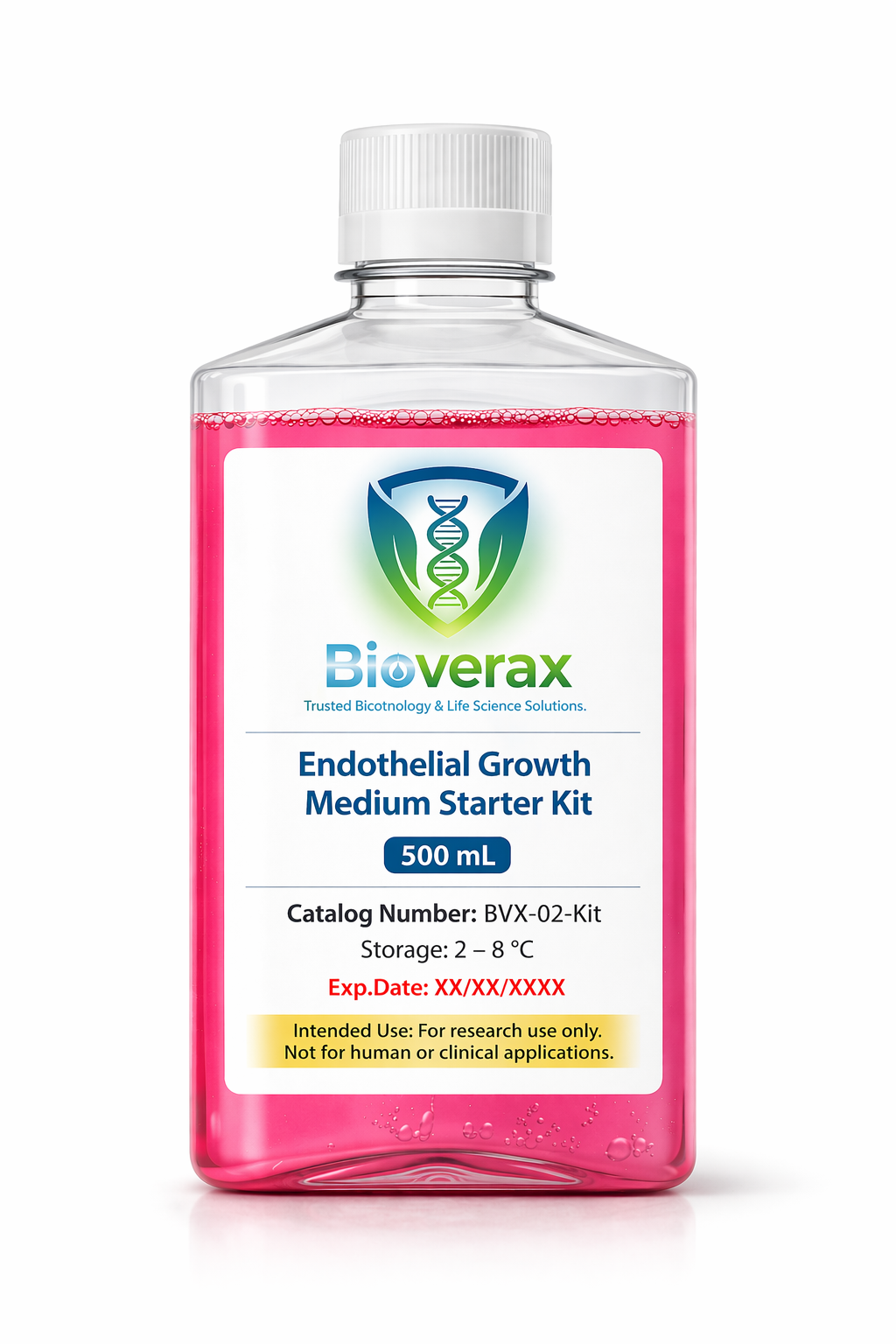 Endothelial Growth Medium Starter Kit