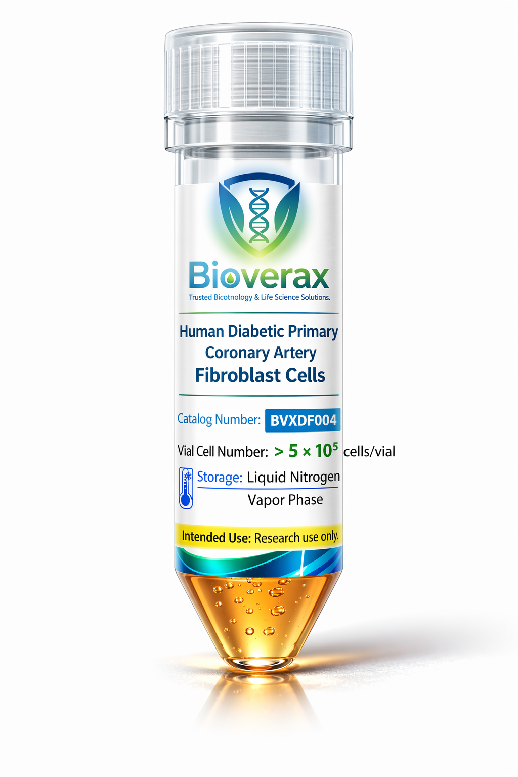 Human Diabetic Primary Coronary Artery Fibroblast Cells