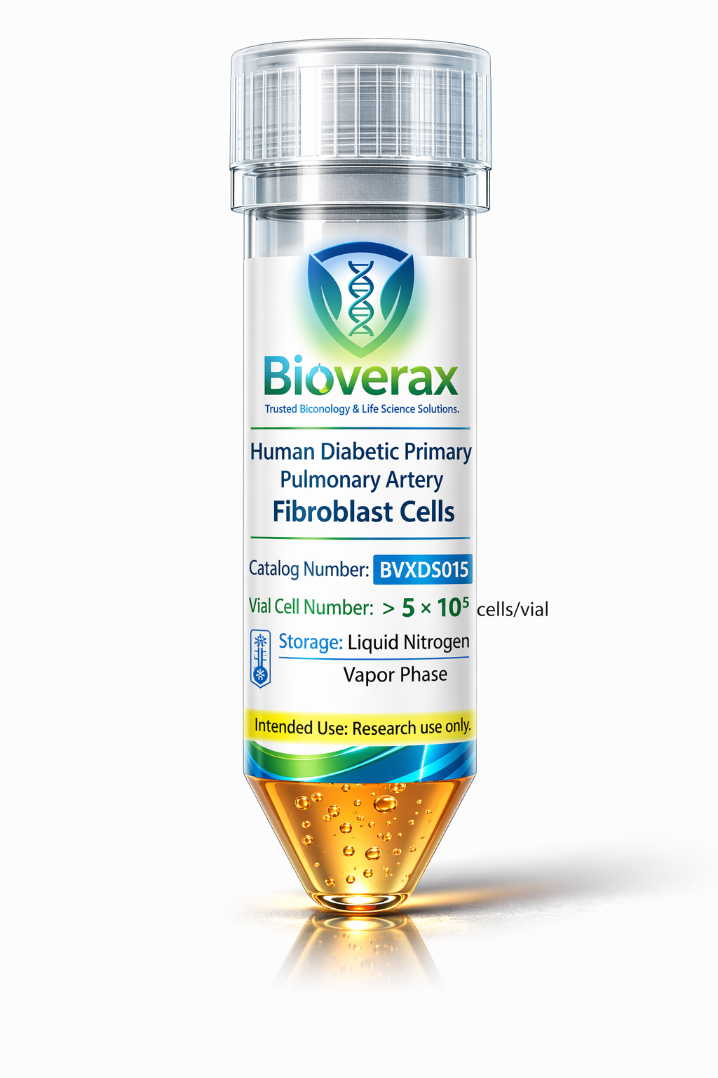Human Diabetic Primary Pulmonary Artery Fibroblast Cells