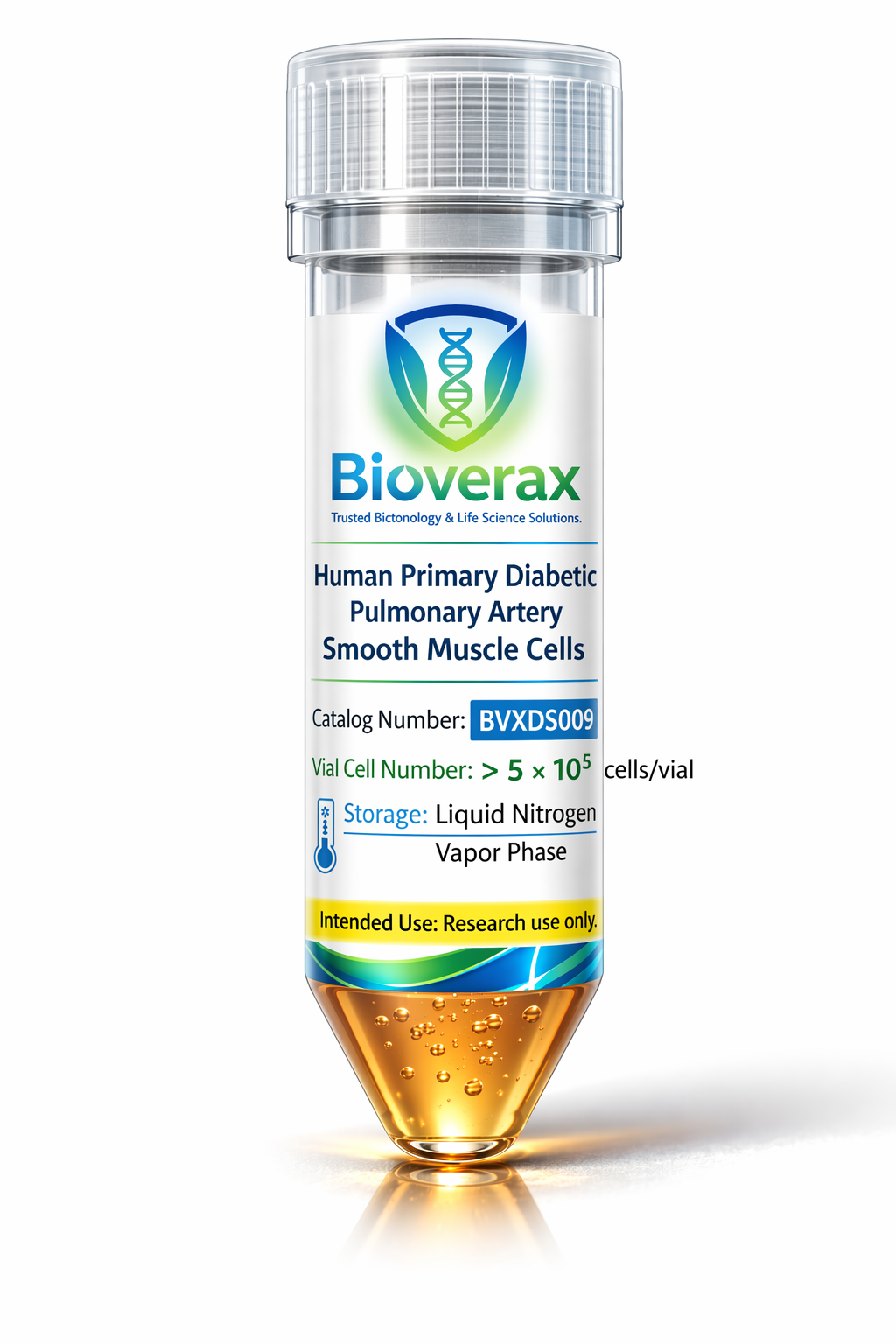 Human Primary Diabetic Pulmonary Artery Smooth Muscle Cells