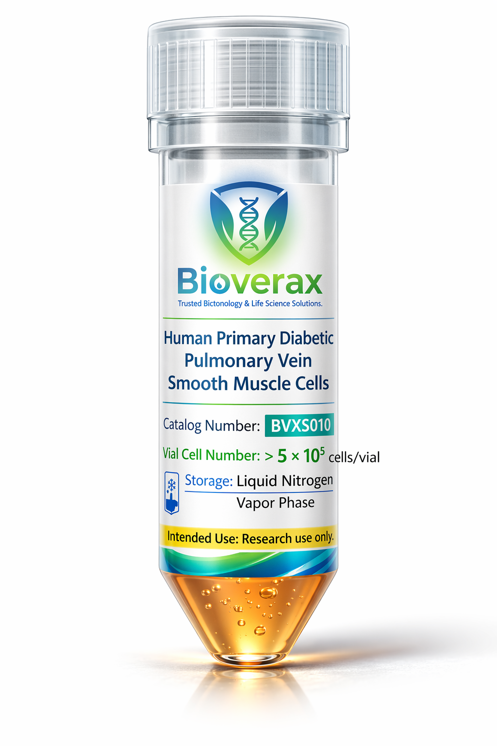 Human Primary Diabetic Pulmonary Vein Smooth Muscle Cells