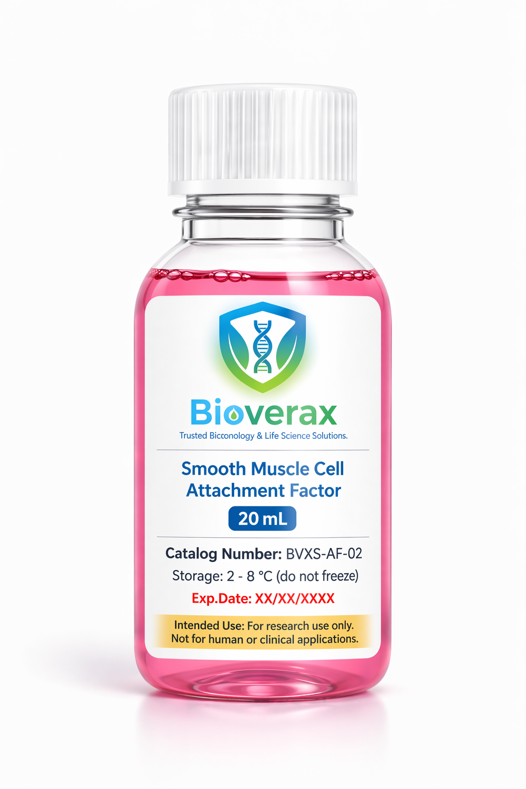 Smooth Muscle Cell Attachment Factor