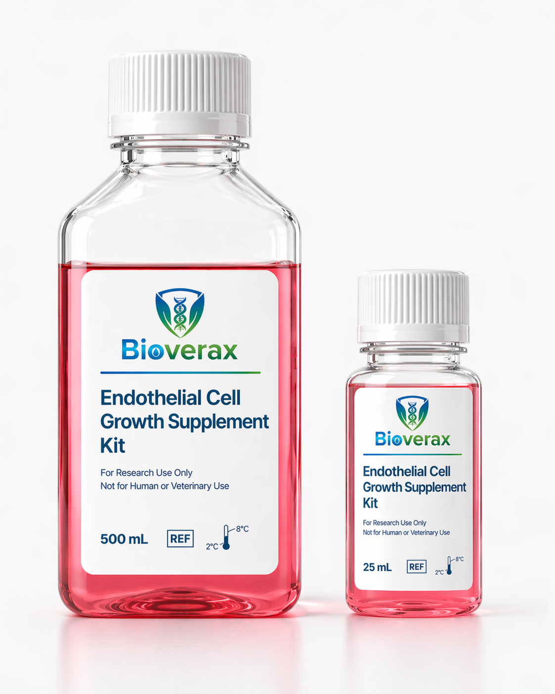 Endothelial Growth Medium Starter Kit