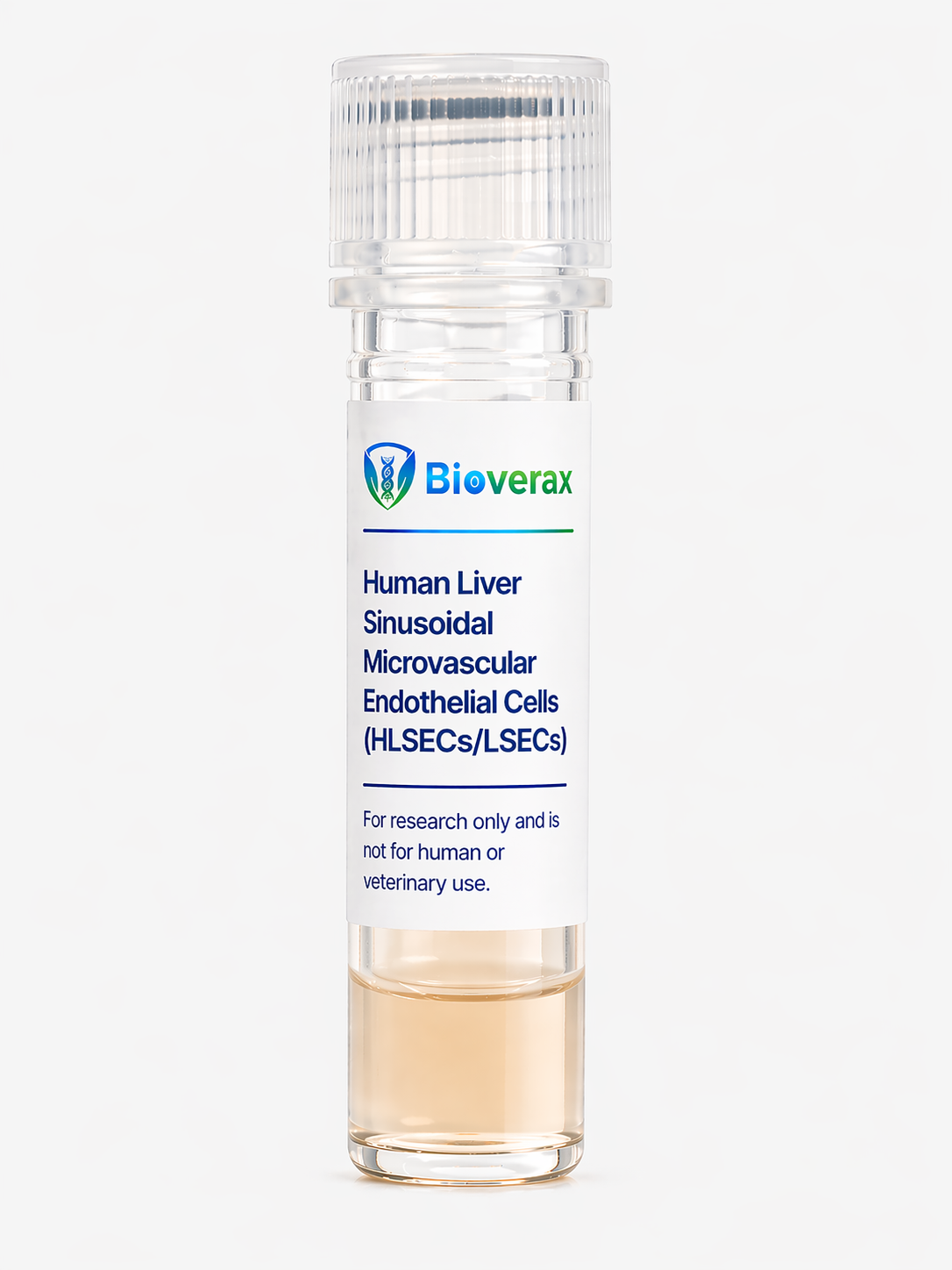 Human Liver Sinusoidal Microvascular Endothelial Cells (HLSECs/LSECs