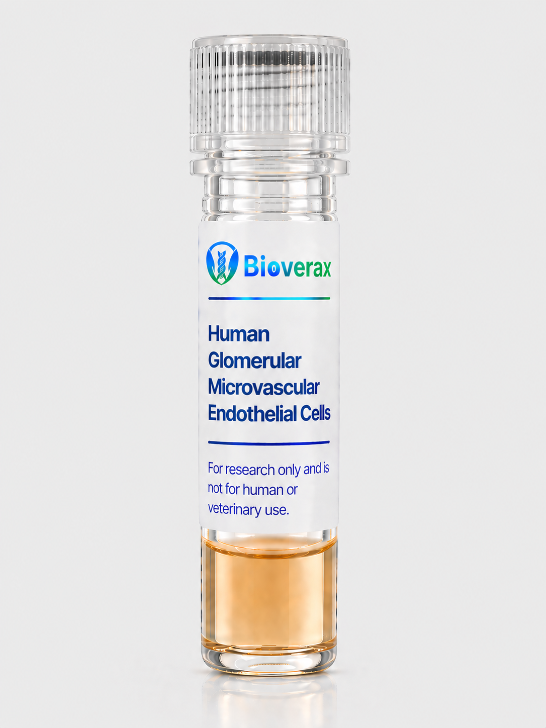 Human Glomerular Microvascular Endothelial Cells