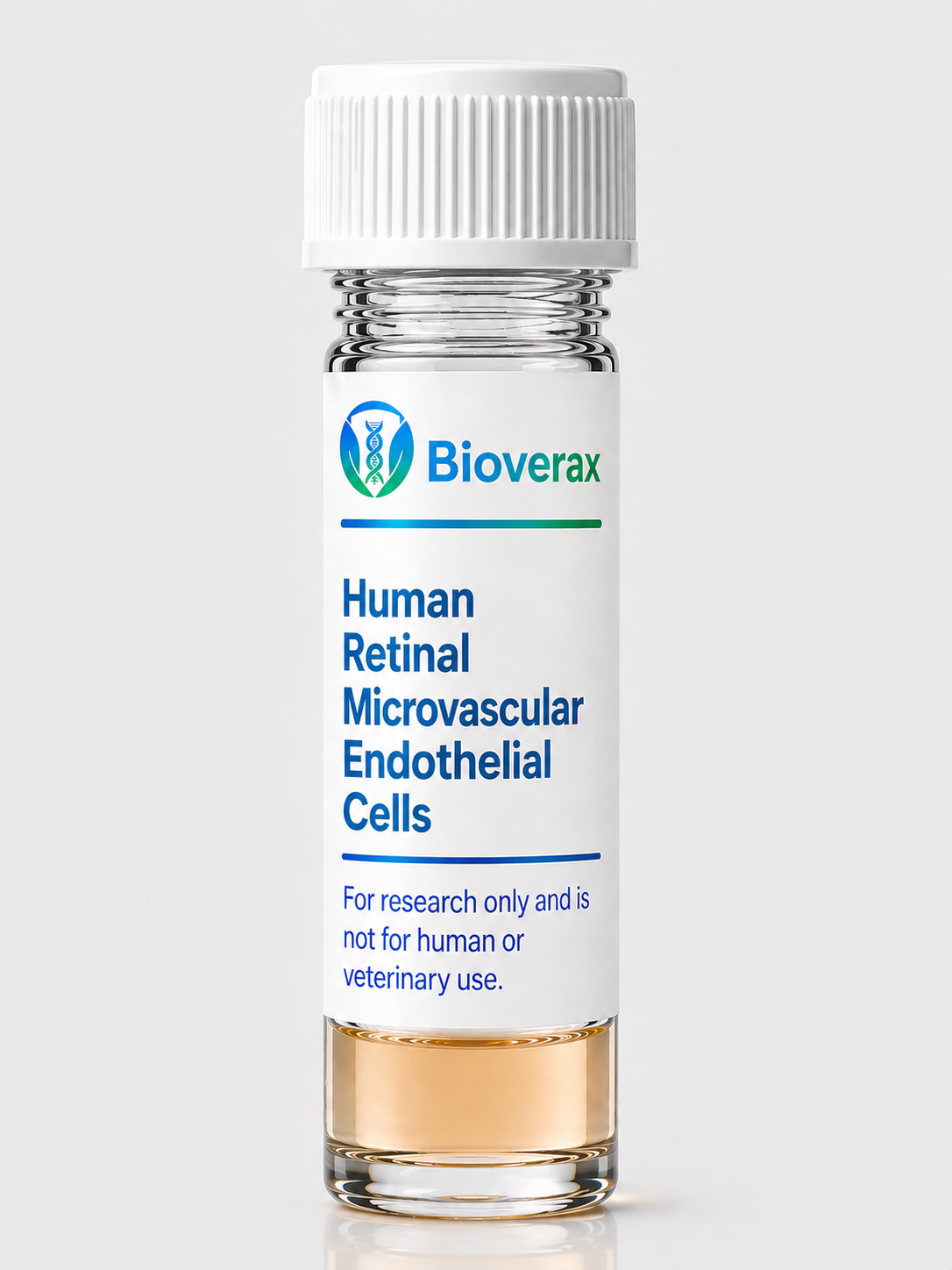 Human Retinal Microvascular Endothelial Cells