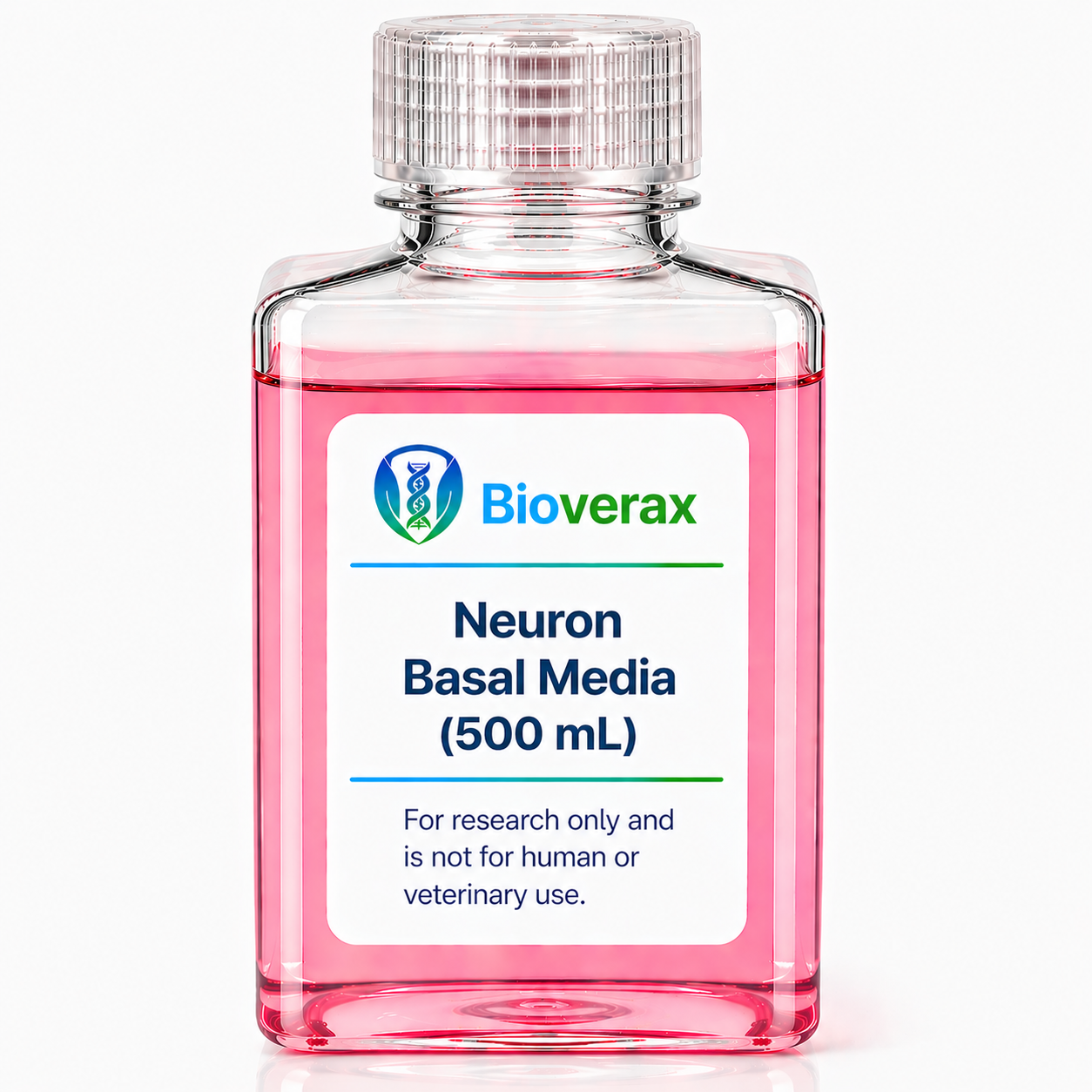 Neuron Basal Media