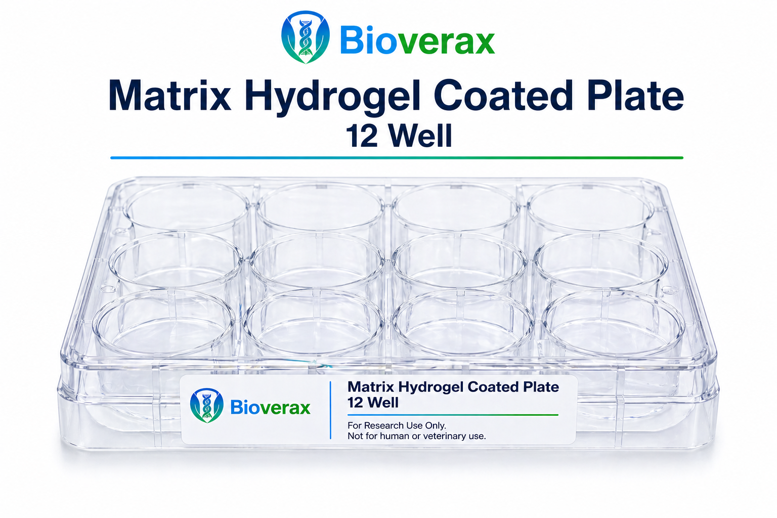 Matrix Hydrogel Coated Plate 12 Well