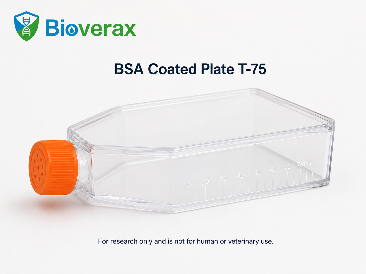 BSA Coated Plate T-75