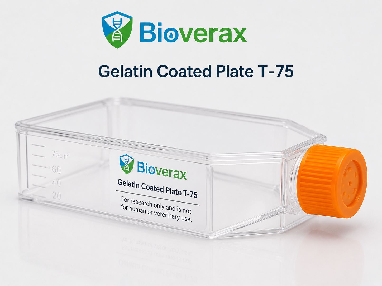 Gelatin Coated Plate T-75