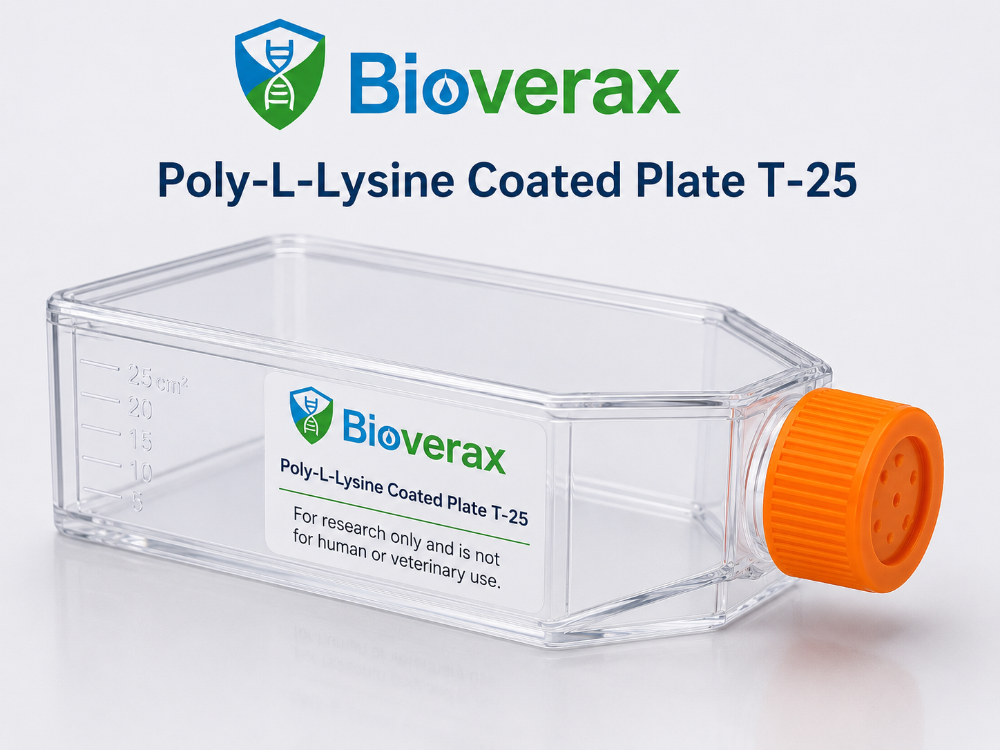 Poly-L-Lysine Coated plate T-25