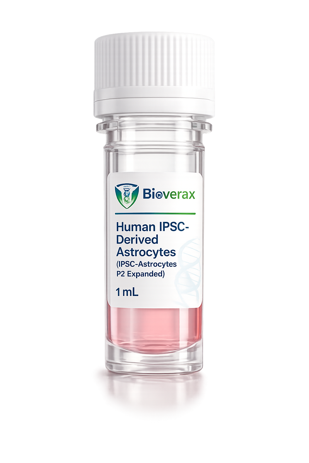 Human iPSC-Derived Astrocytes  (iPSC-Astrocytes P2 Expanded)