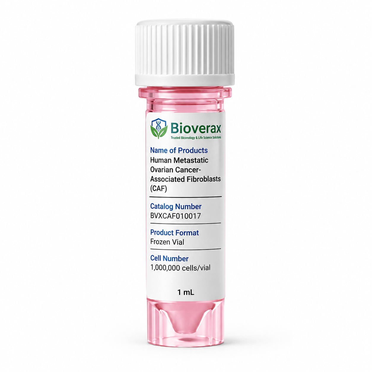 Human Metastatic Ovarian Cancer-Associated Fibroblasts (CAF)